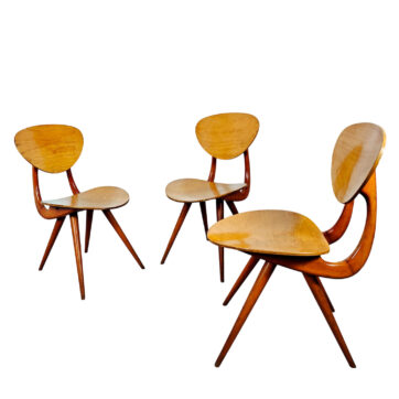 Curved beech chairs by Stella - France 1950
